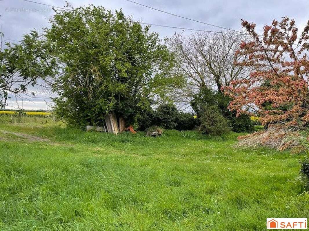 Photo 6 - Maison à BAIGNEAUX