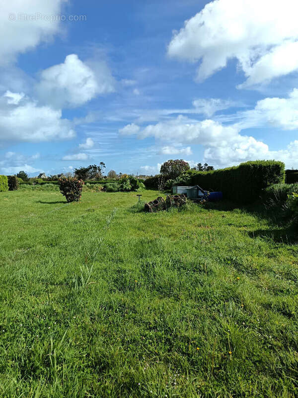 Maison  type 4 secteur greve blanche - photo 3
