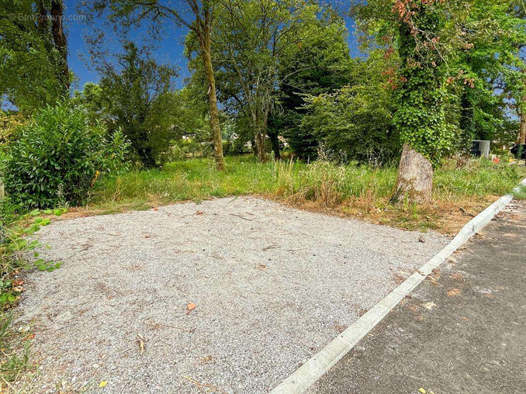 Saint Paul Les Dax -  rue du Chalet - Terrain viabilisé de 646m2 - photo 3