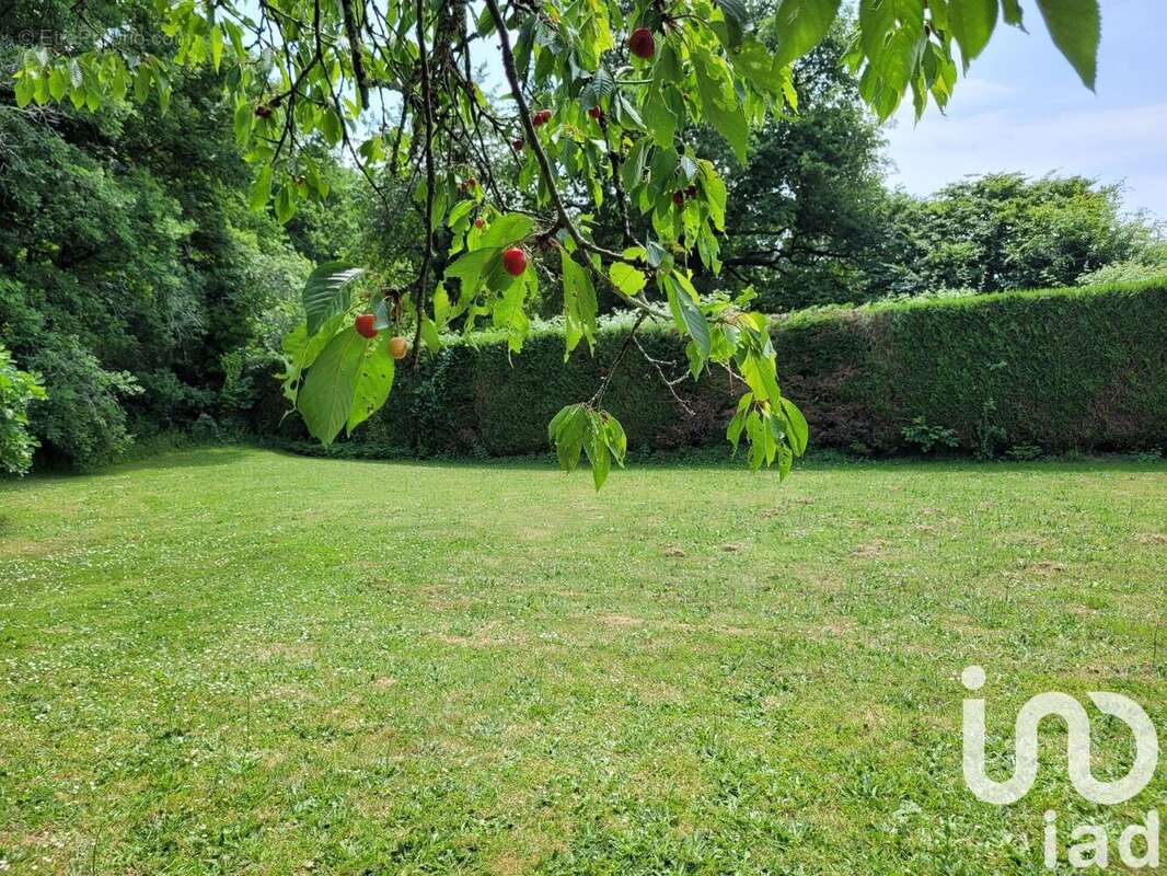 Photo 2 - Terrain à PRANZAC