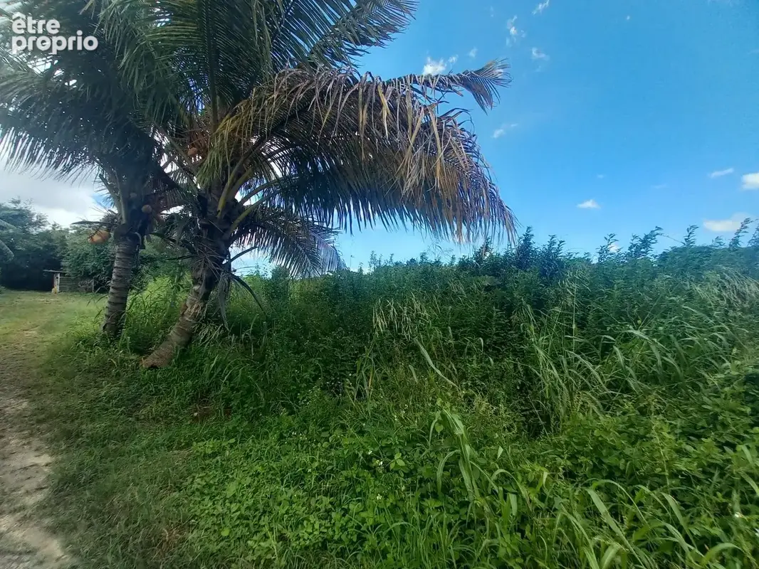 TERRAIN- Saint-François - photo 3