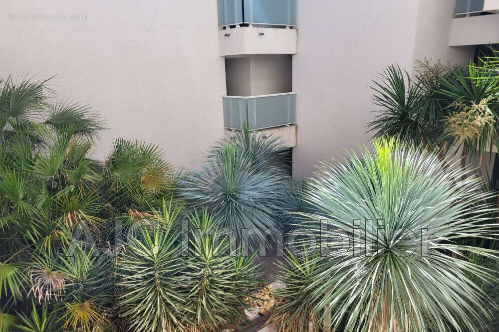 Appartement à CASTELNAU-LE-LEZ