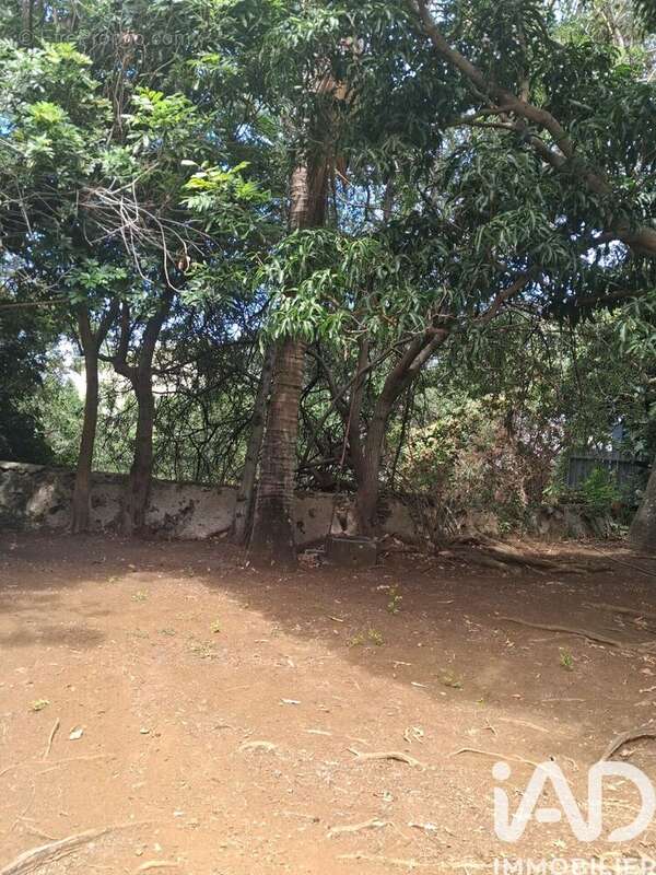 Photo 2 - Terrain à SAINT-PIERRE