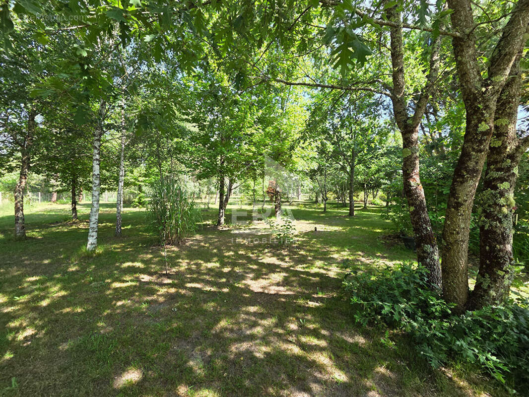 Maison 152m² à labrit - photo 16