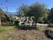 Terrain à LA FARE-EN-CHAMPSAUR