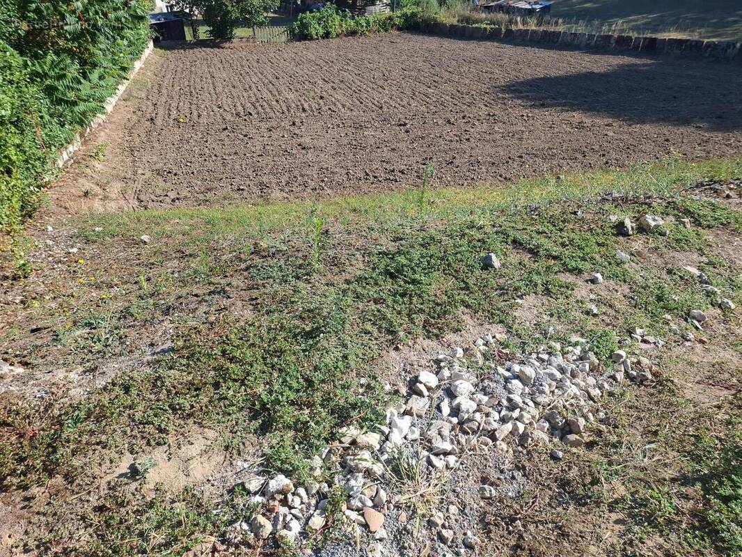 Photo 1 - Terrain à AIGUEFONDE