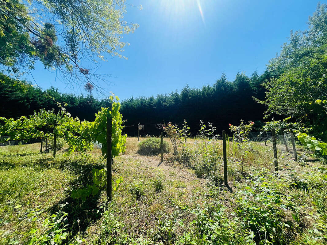 Maison à COMMEQUIERS