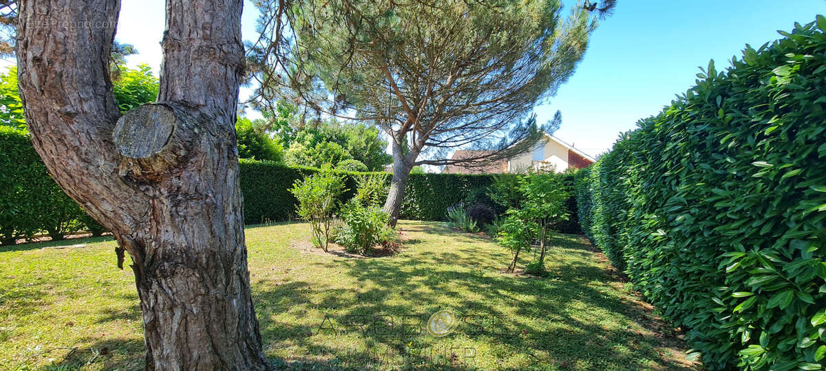 Maison familiale - photo 16