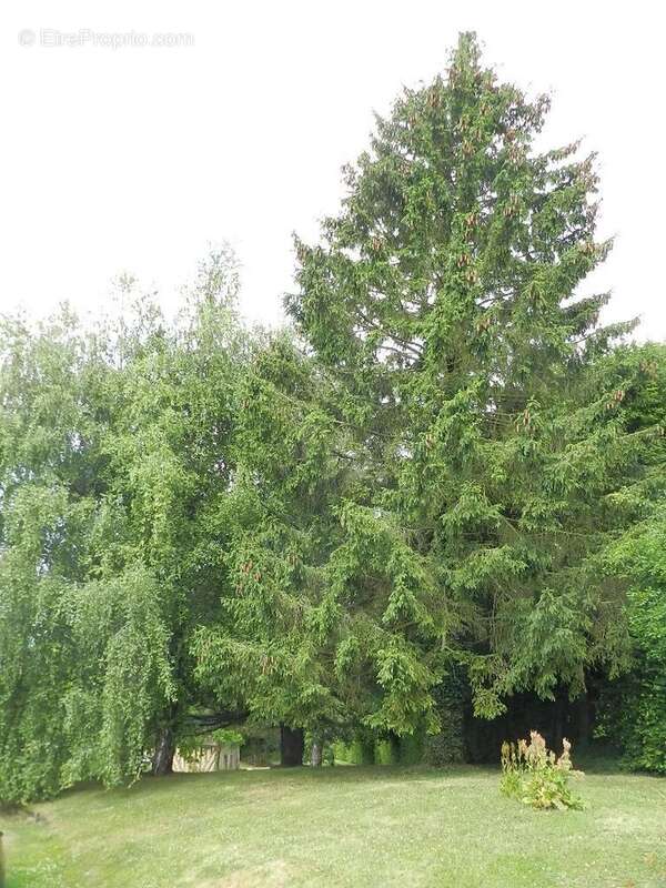 Maison à SAINT-PIERRE-SUR-DIVES