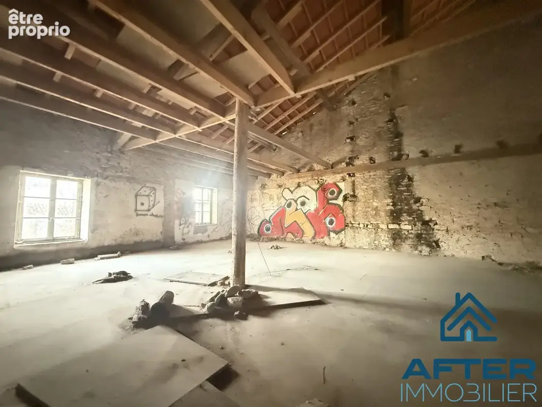 Maison 2 pièces 300 m² à vendre à Xermamenil (54300) - photo 5