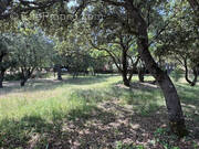 Terrain à PEYROLLES-EN-PROVENCE