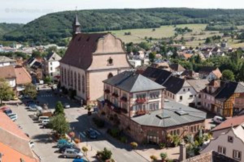 Terrain à WASSELONNE