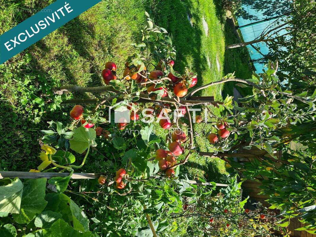 Photo 8 - Maison à SAVERNE