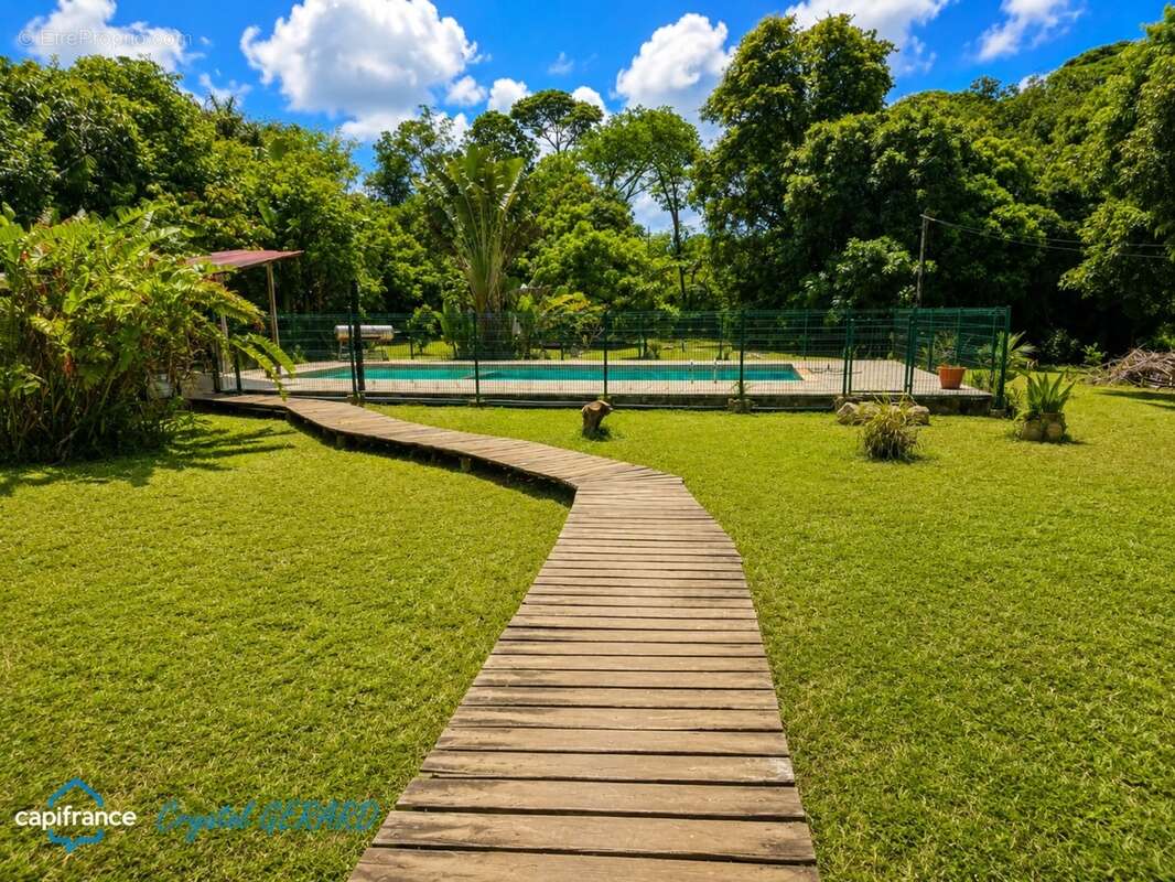 Macouria (belle terre) – propriété sur plus d’1 hectare avec piscine - photo 2