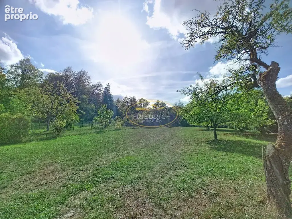 Terrain de loisirs dans un ecrin de verdure - photo 4