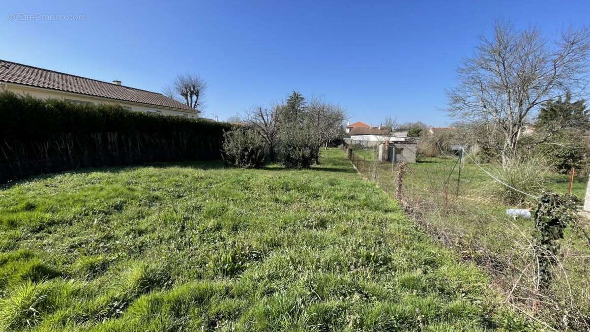 Terrain 555 m² à La Seguiniere  - photo 3