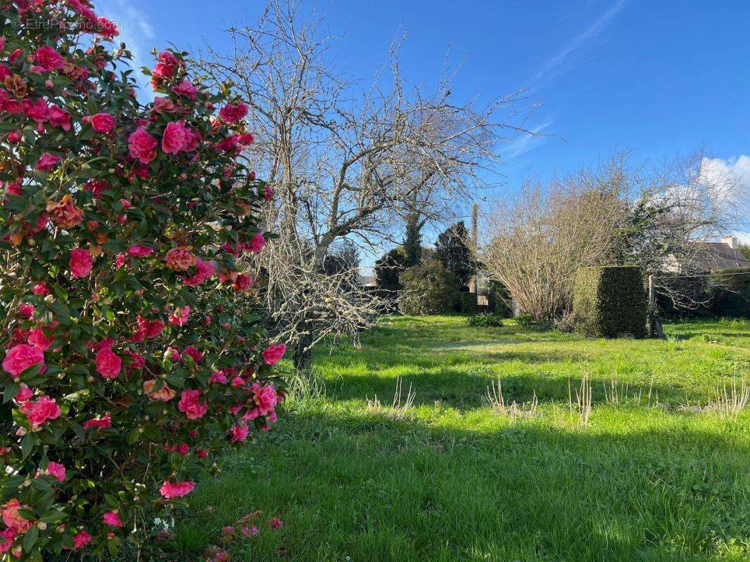 Maison Bourg Moëlan sur mer 7P Terrain constructible 1500m2 - photo 3