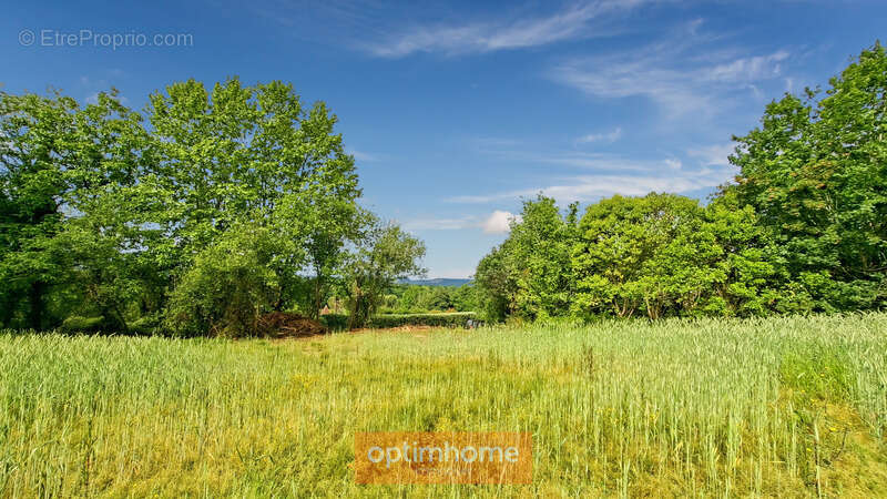 Terrain à SAUVETERRE-DE-BEARN