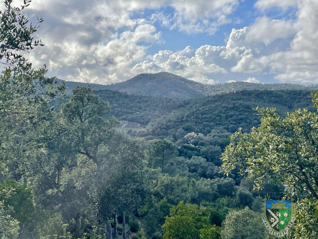Terrain à LA LONDE-LES-MAURES