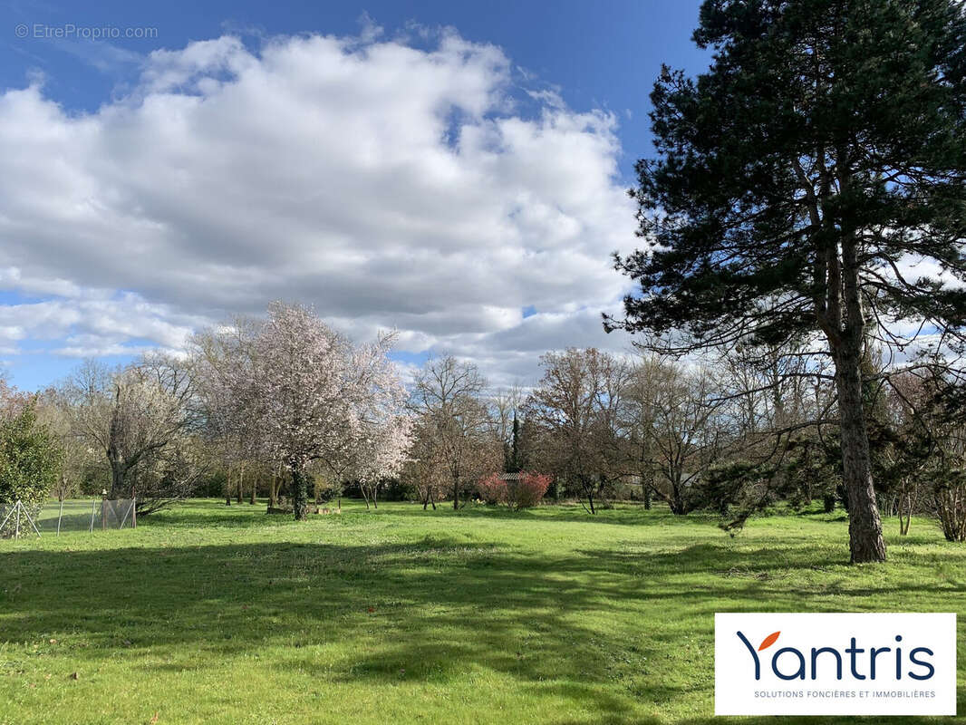Maison à TOURNEFEUILLE