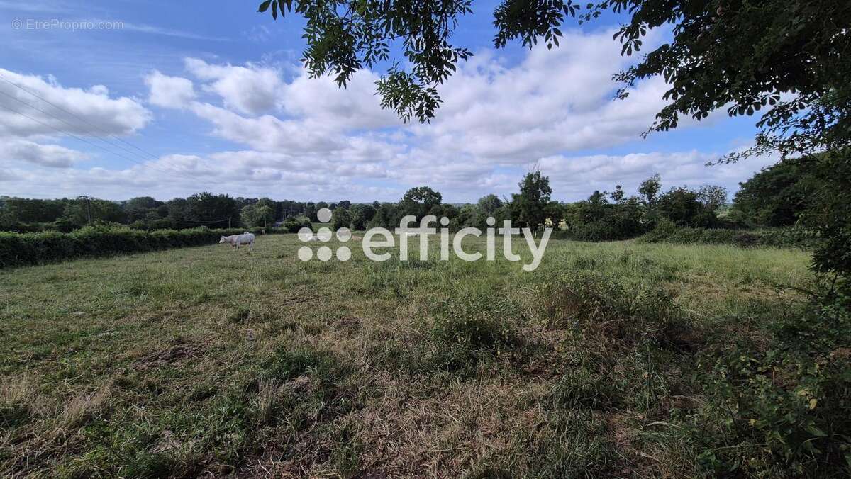 Maison ancienne - photo 27