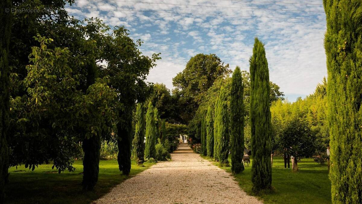 Maison à SAINT-EMILION