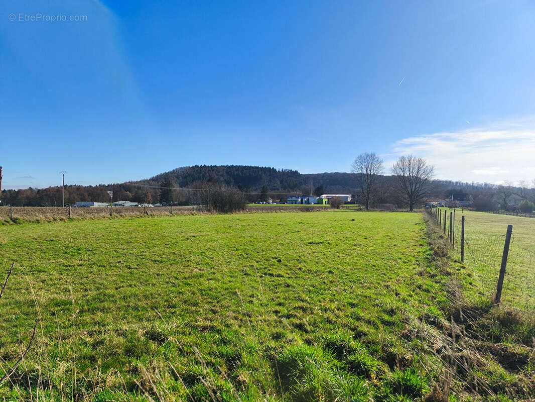 Terrain à HARGARTEN-AUX-MINES