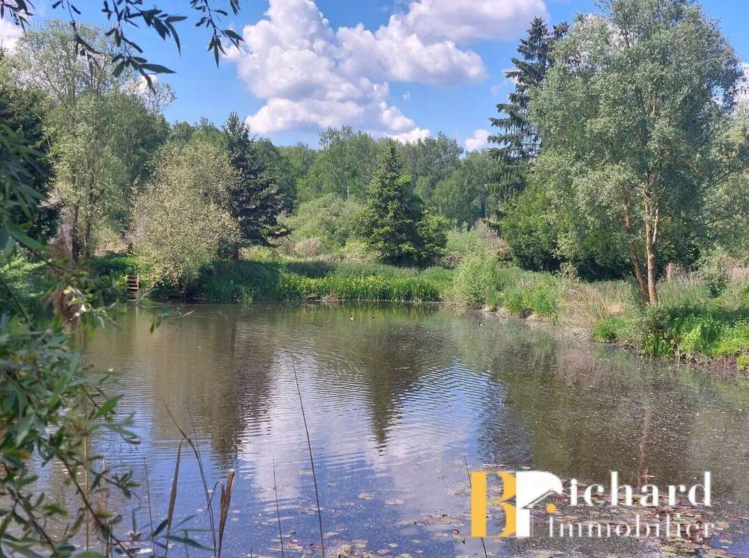 A vendre - etouvelles - etang - photo 6