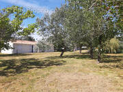 Maison à L&#039;ILE-D&#039;OLONNE