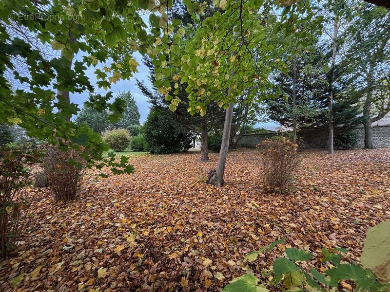 Maison à SAINT-MARTIN-DE-BOSCHERVILLE