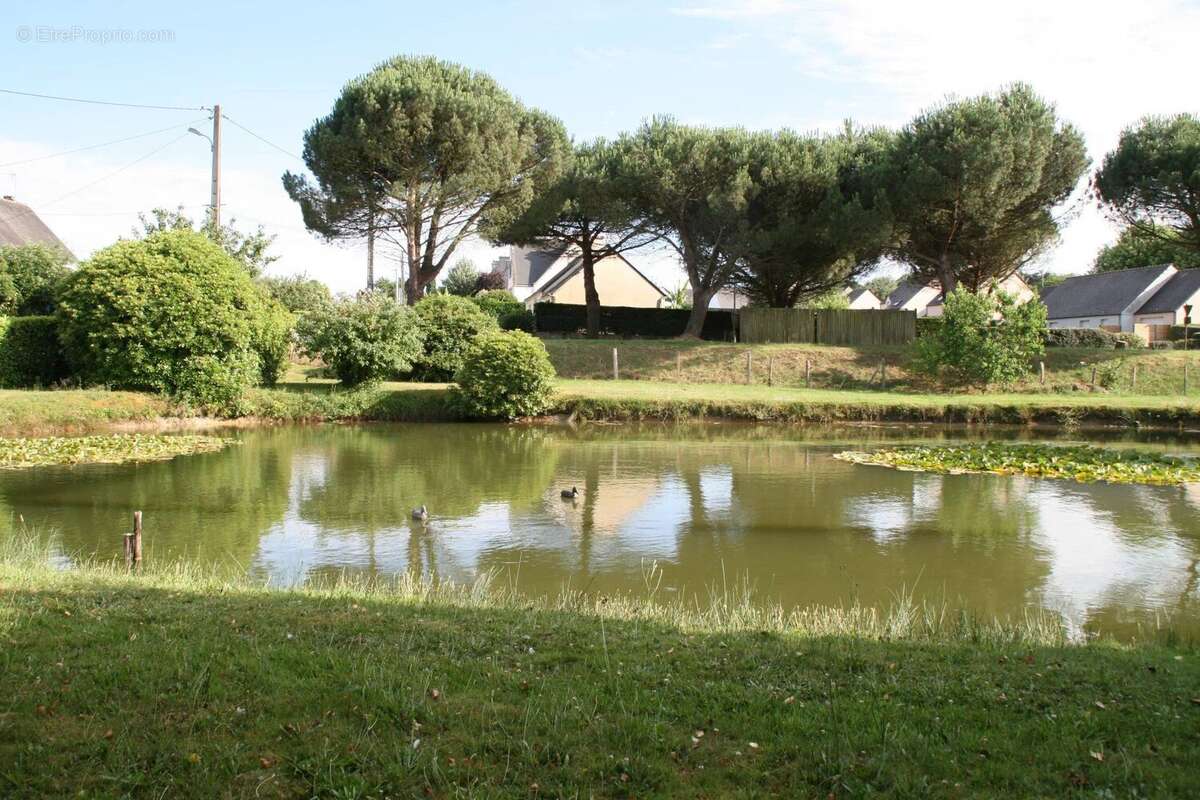 Vente Terrain Guegon(56120) 40 000ï¿œ - photo 3