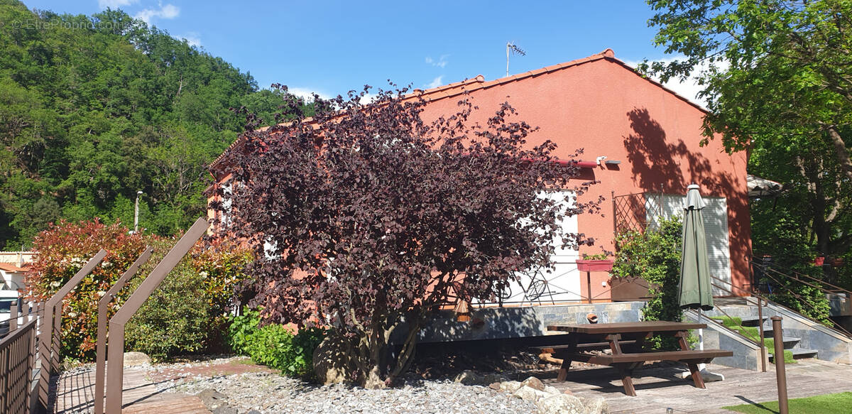 Maison à PRATS-DE-MOLLO-LA-PRESTE