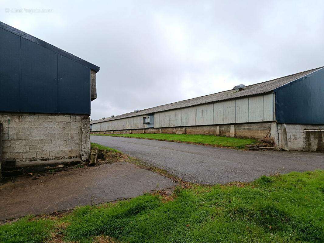 poulaillers industriels - photo 3