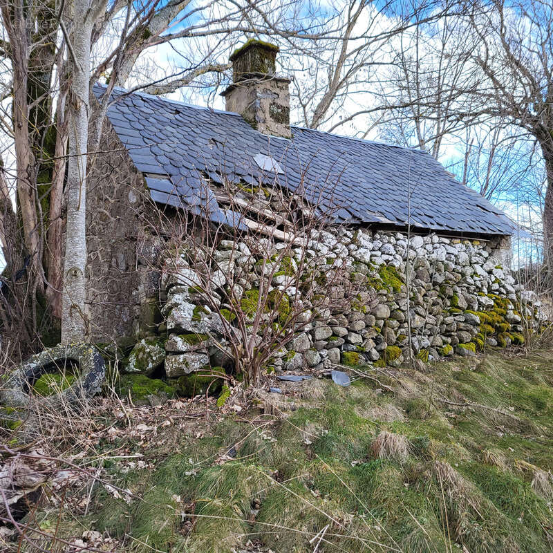 Maison à SAINT-SATURNIN