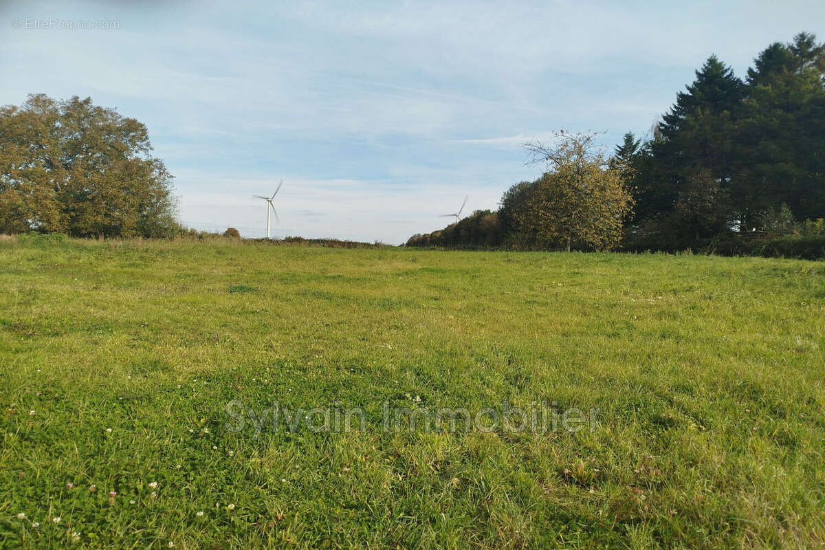Maison 187 m² à Forges-Les-Eaux  - photo 9