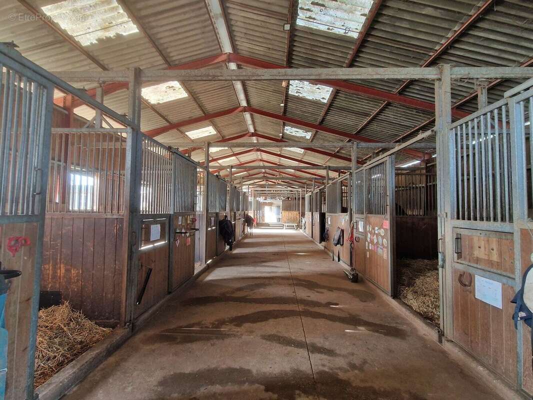 20250121110904 - Maison à PROISSANS