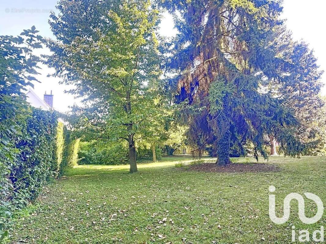 Photo 4 - Appartement à DOUAI