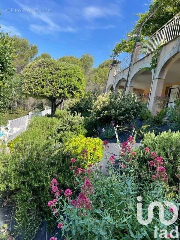 Photo 3 - Maison à MALEMORT-DU-COMTAT