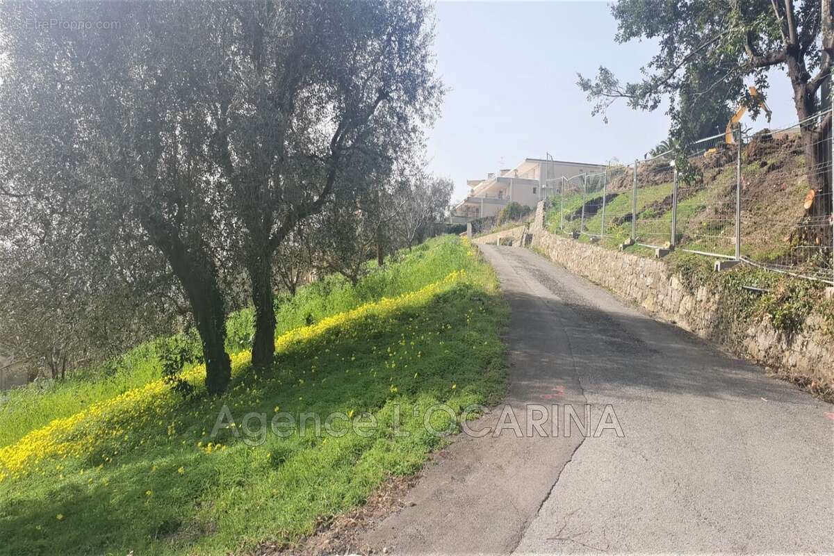 Terrain à LE CANNET