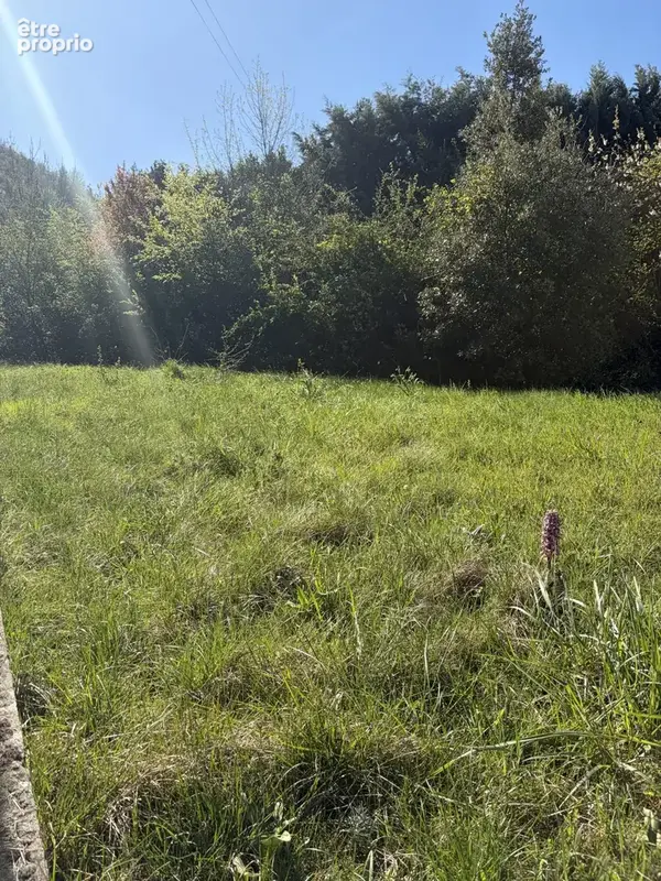 Terrain 820 m² à vendre à Coux (07000) - photo 6