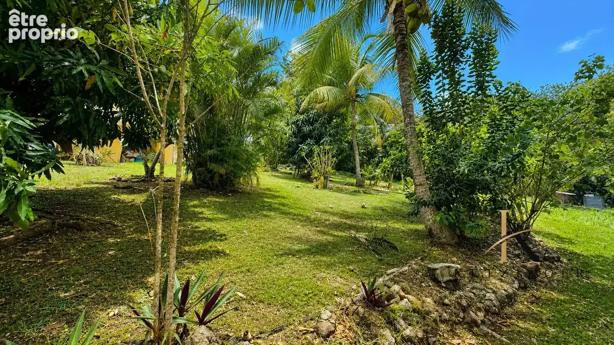 Jardin