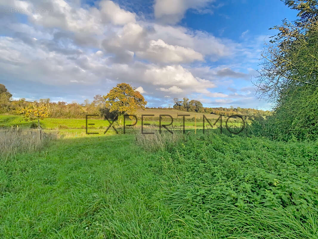 Maison à MONTS-EN-BESSIN