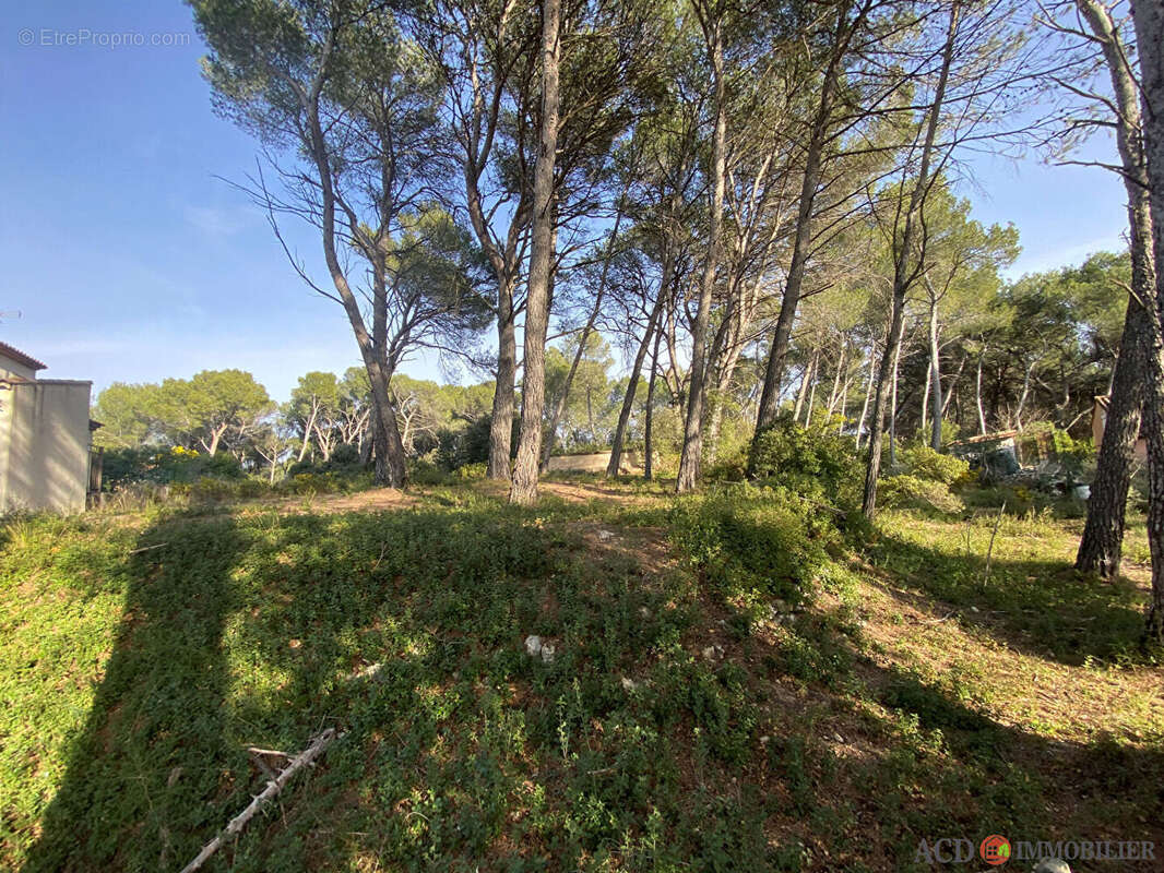 Terrain à VENTABREN