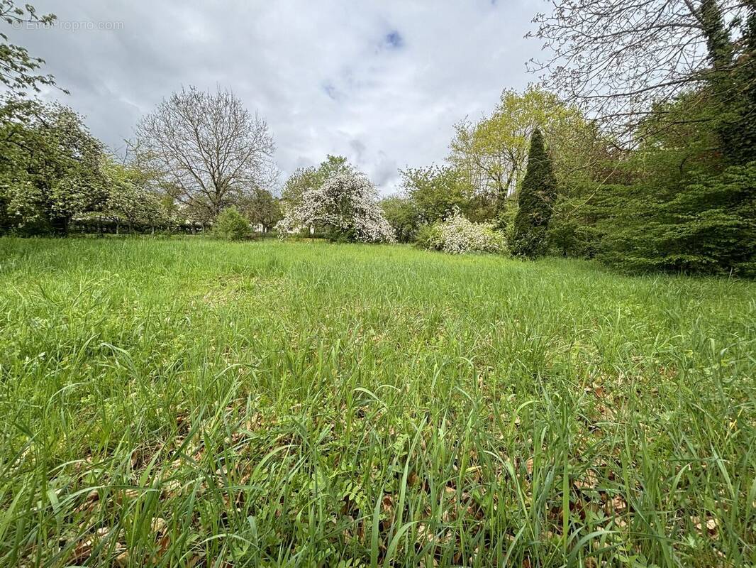 Terrain à SARREBOURG