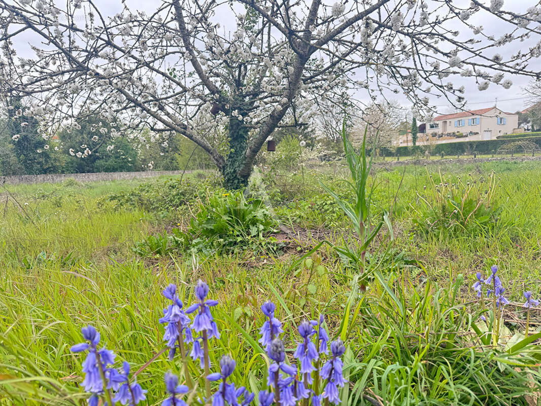 Maison à MOUZEUIL-SAINT-MARTIN