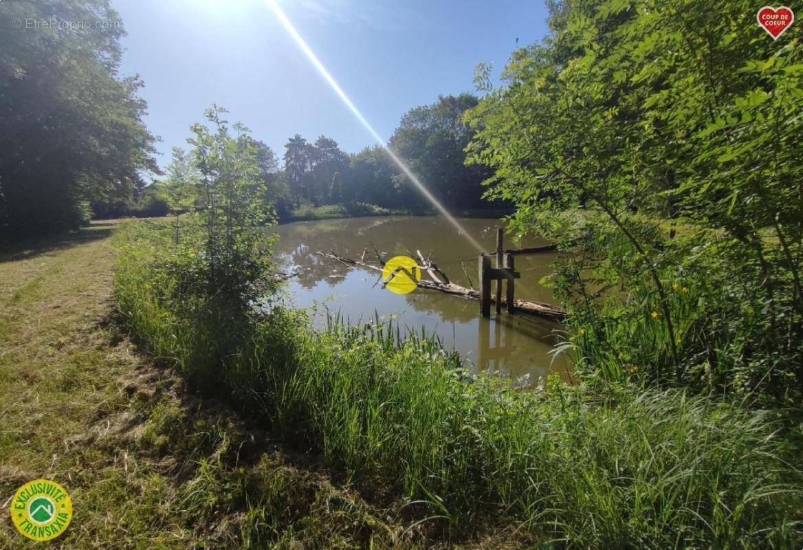 Terrain à VAILLY-SUR-SAULDRE