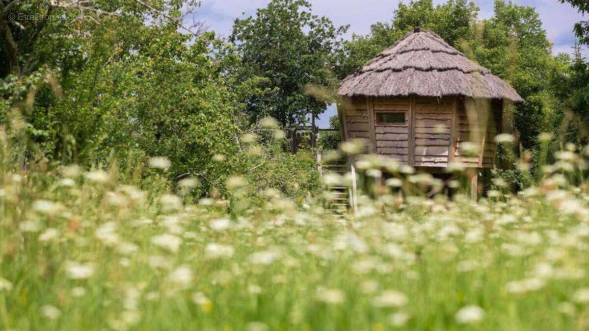 Photo 4 - Maison à NOGARO
