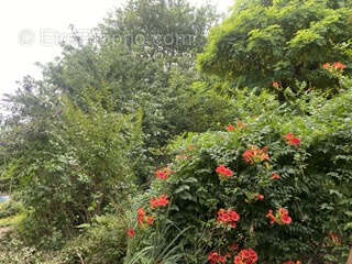 Maison à GIRONDE-SUR-DROPT