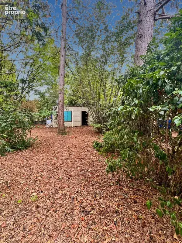 Maison lumineuse avec grand sous-sol, jardin arboré et verger - photo 7