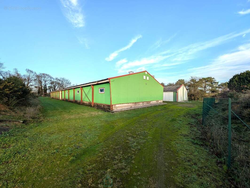 Propriété sur 27 hectares, maison 179 m2, bâtiments de 700 m2 salle de réception et 600 m2 garage - photo 7
